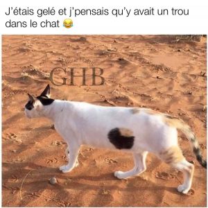 quand t'as un peu trop fumé de weed