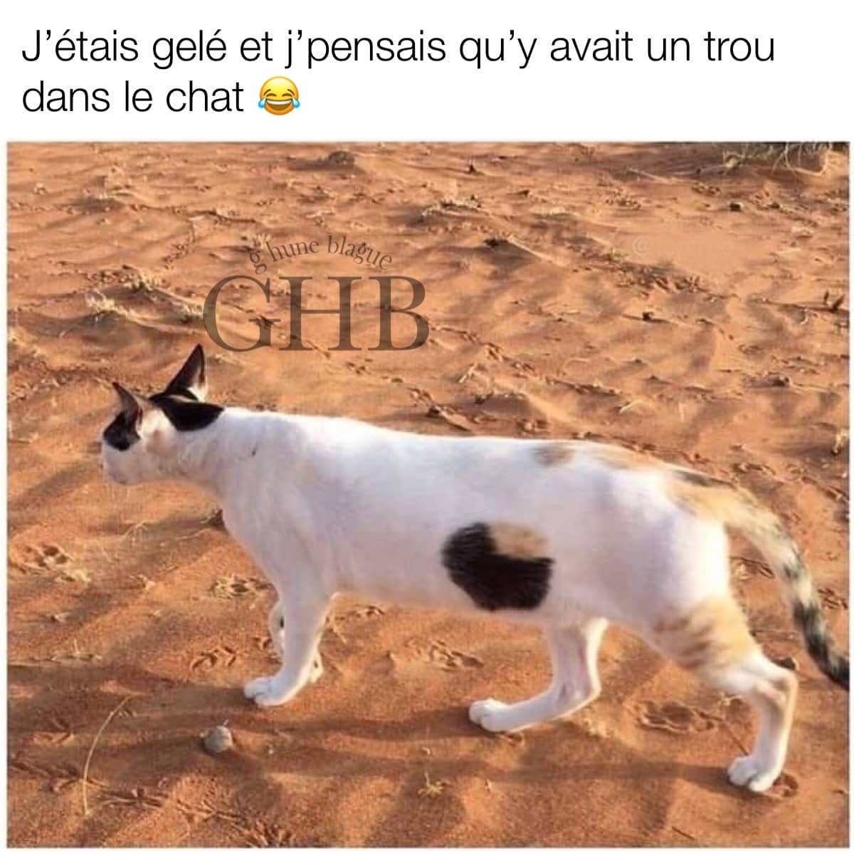 quand t'as un peu trop fumé de weed