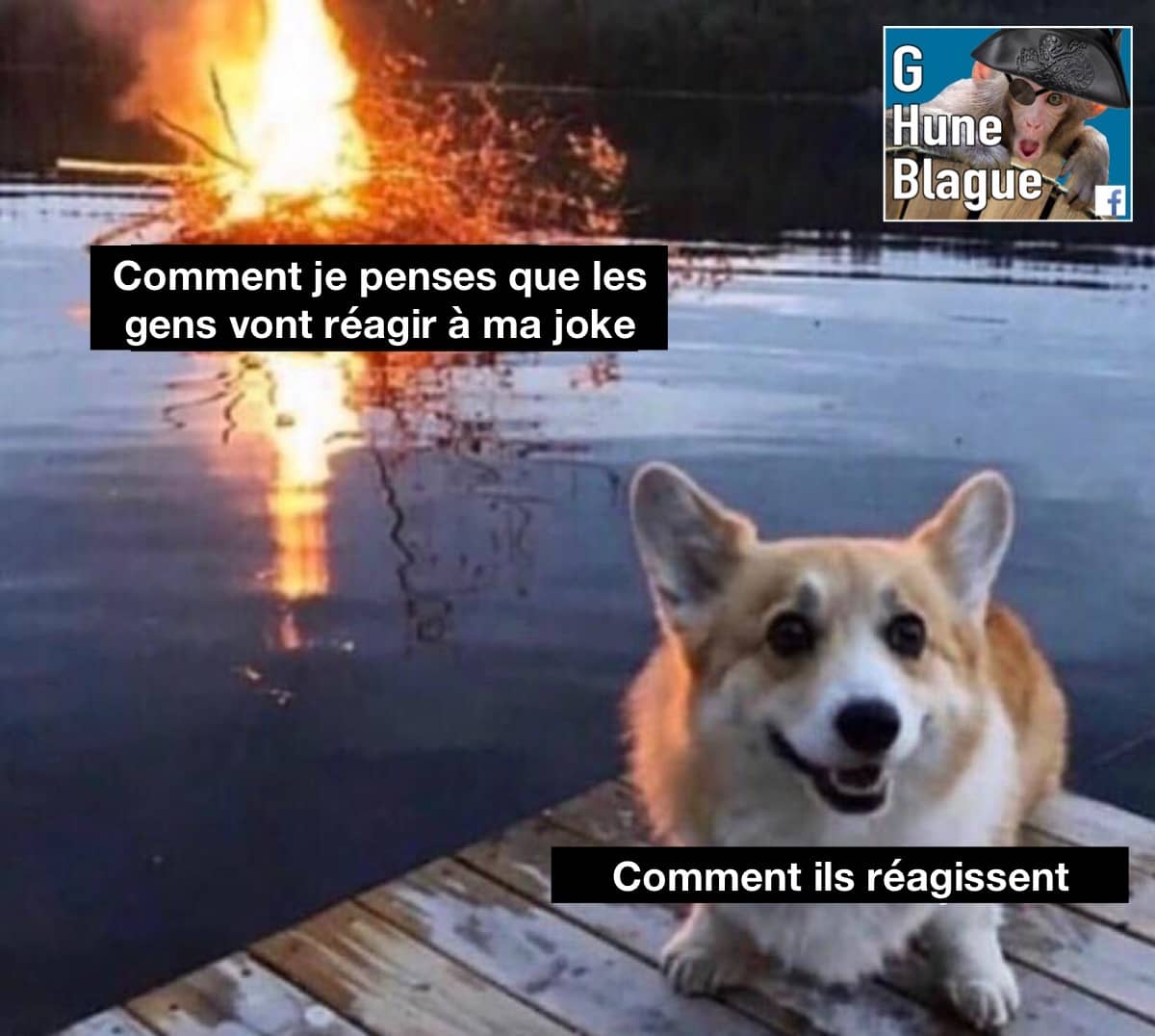 Parfois, je crois que ma blague va faire réagir mais finalement, les gens font meh!