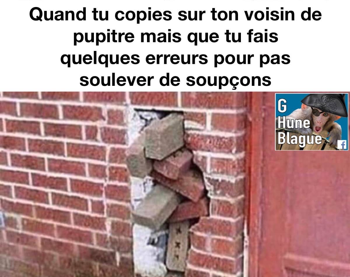 Copier sur ton voisin de pupitre mais que tu fais quelques erreurs pour ne pas soulever de soupçons