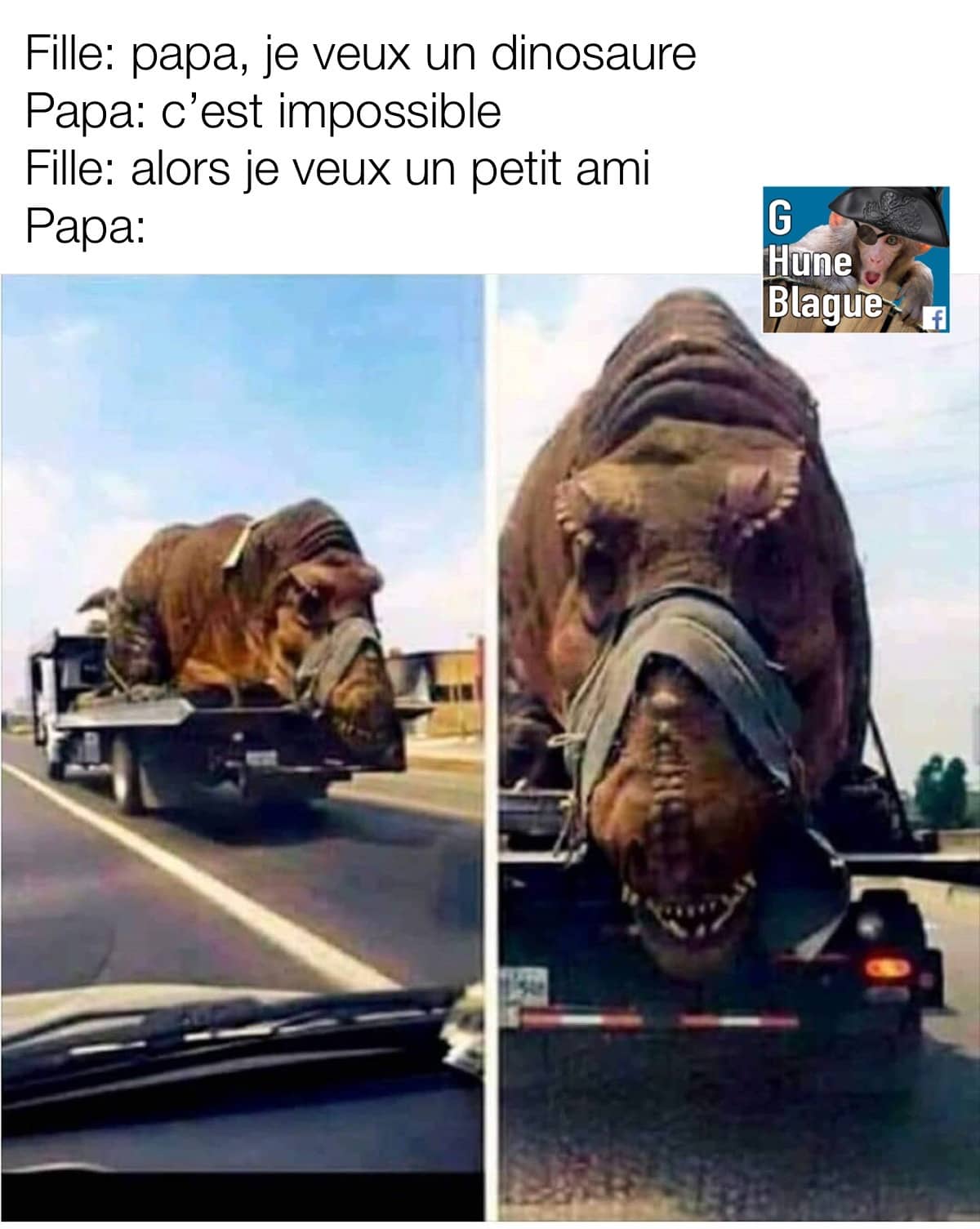 Quand ta fille te donne des suggestions de cadeaux pour sa fête et qu'un dinosaure semble plus probable