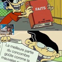 Fait: la meilleure partie d'un concombre goûte comme la pire partie d'une pastèque!