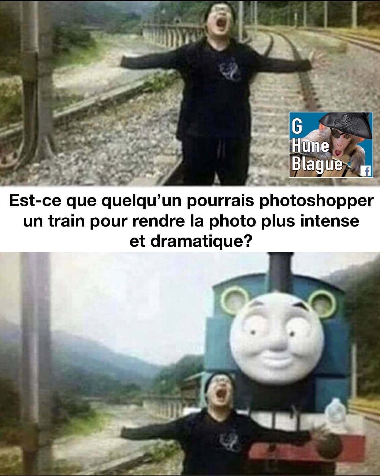 Es-ce qu'un expert en Photoshop pourrait ajouter un train pour rendre la photo dramatique. Thomas le train