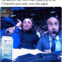 La réaction de mon chien quand je lui dit n'importe quoi d'une voix aigüe