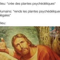 Dieu crée des plantes psychédéliques et l'homme les rends illégales... wtf!