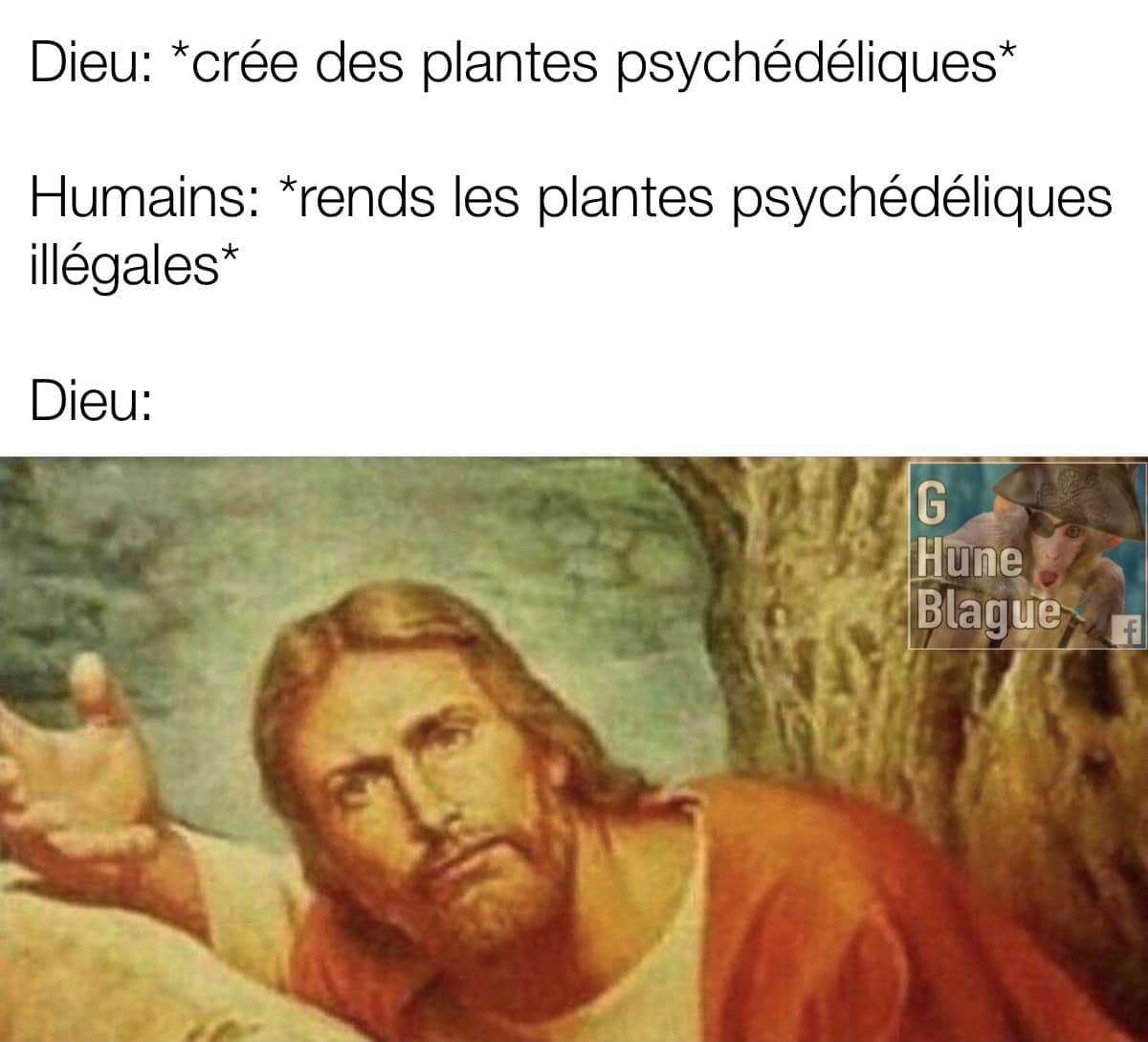 Dieu crée des plantes psychédéliques et l'homme les rends illégales... wtf!