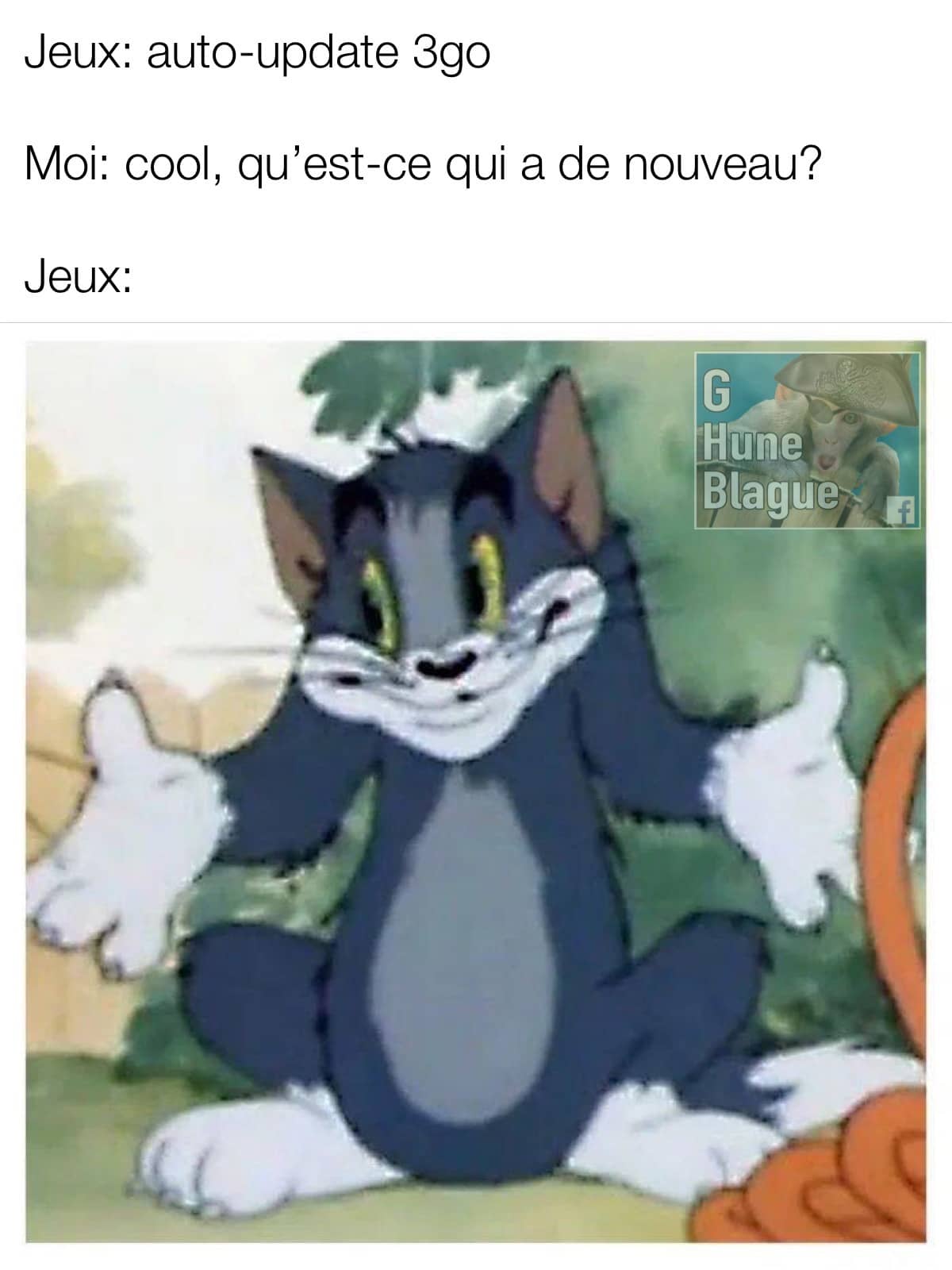 Les mise à jours de jeux vidéos... 3go et on sais même pas s'il y a des nouveautés! tom et jerry meme