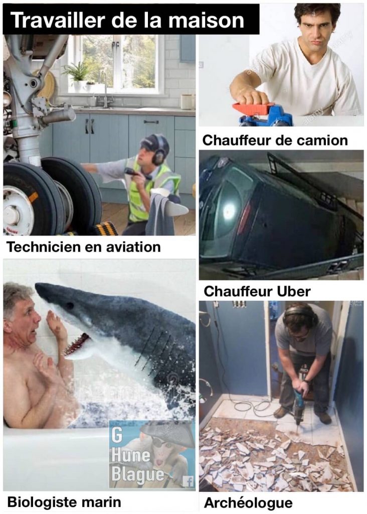 Collection absurdes d'images montrant différents métiers pratiqués en télétravail: Technicien en aviation, chauffeur de camion, chauffeur Uber, biologiste marin, archéologue