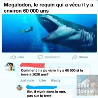 Comment un requin peut avoir vécu il y a 60 000 ans quand la terre a 2020 ans?