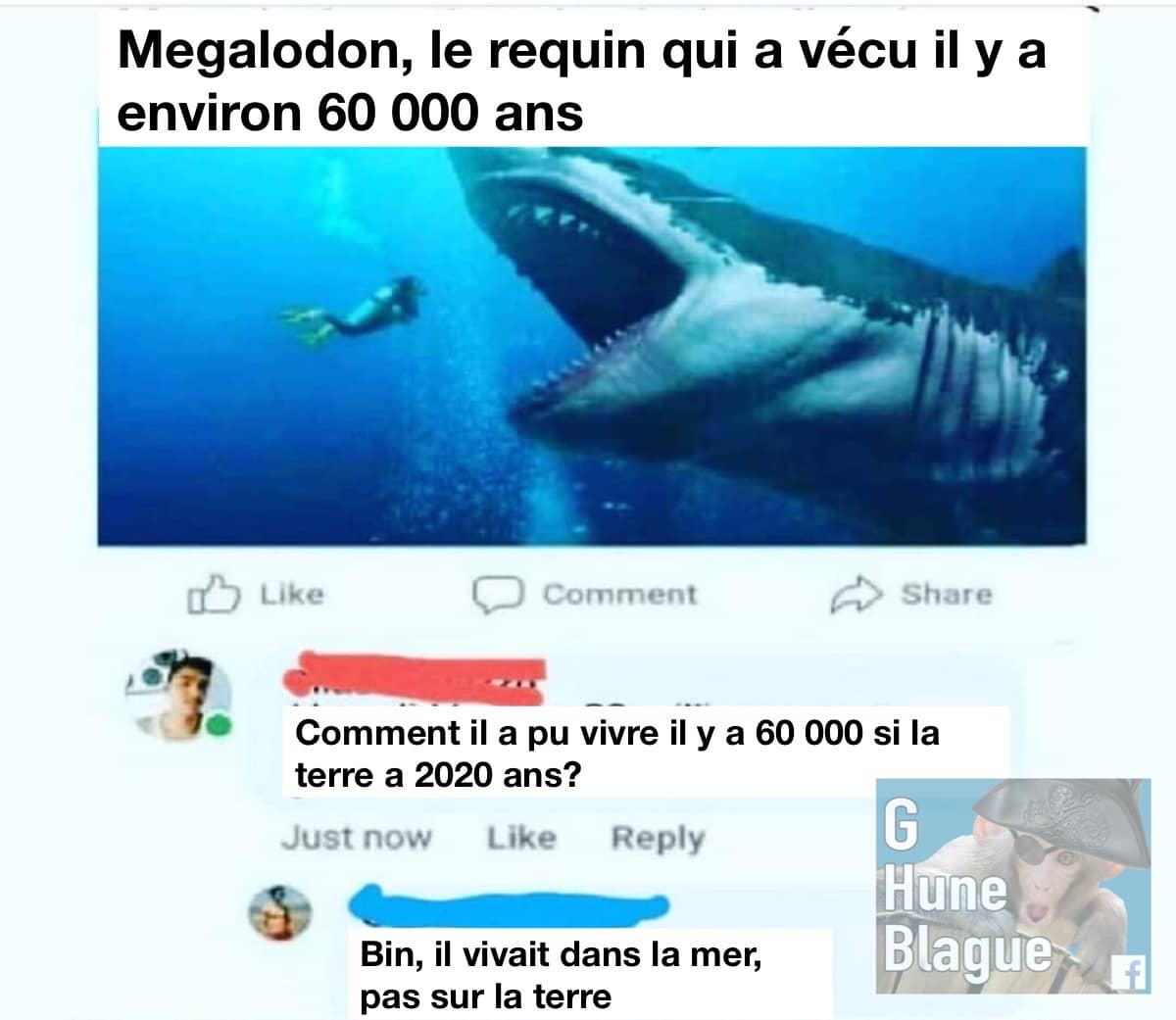Comment un requin a pus vivre il y 1 60000 ans si la terre n'a que 2020 ans?