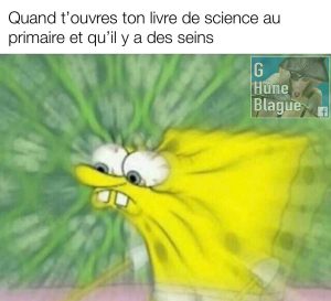 Ouvrir un livre de biologie au primaire et voir des seins..
