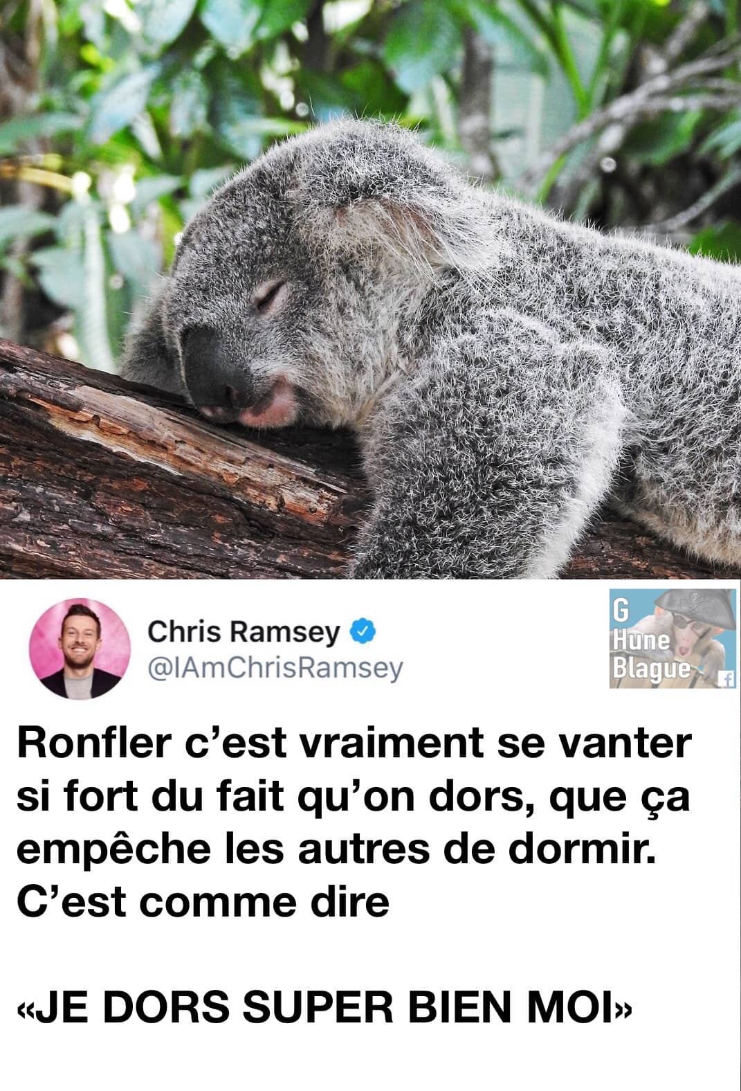 Ronfler c'est se vanter tellement fort qu'on dors que ça empêche les autres de dormir