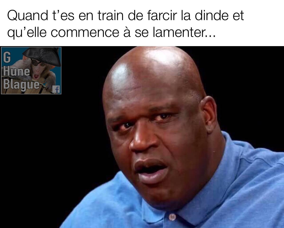 Quand t'es en train de farcir la dinde et qu'elle commence à se lamenter