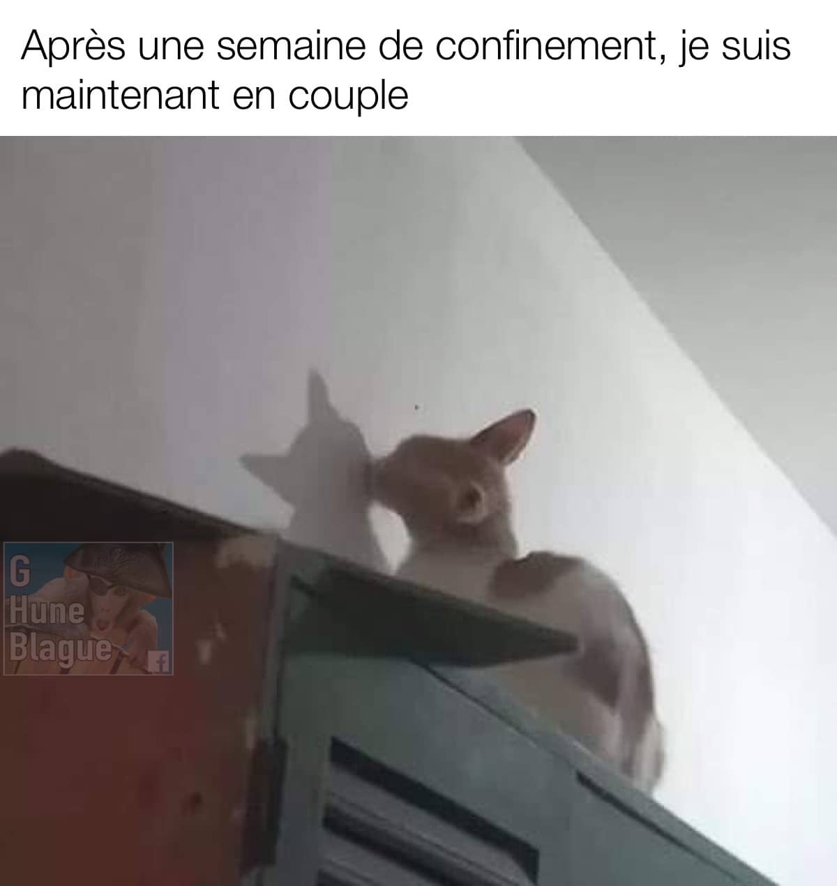 Apres Une Semaine De Confinement Je Suis Maintenant En Couple Blagues Et Images Droles Ben Pourquoi Pas Humour