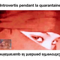 Les introvertis versus les extrovertis