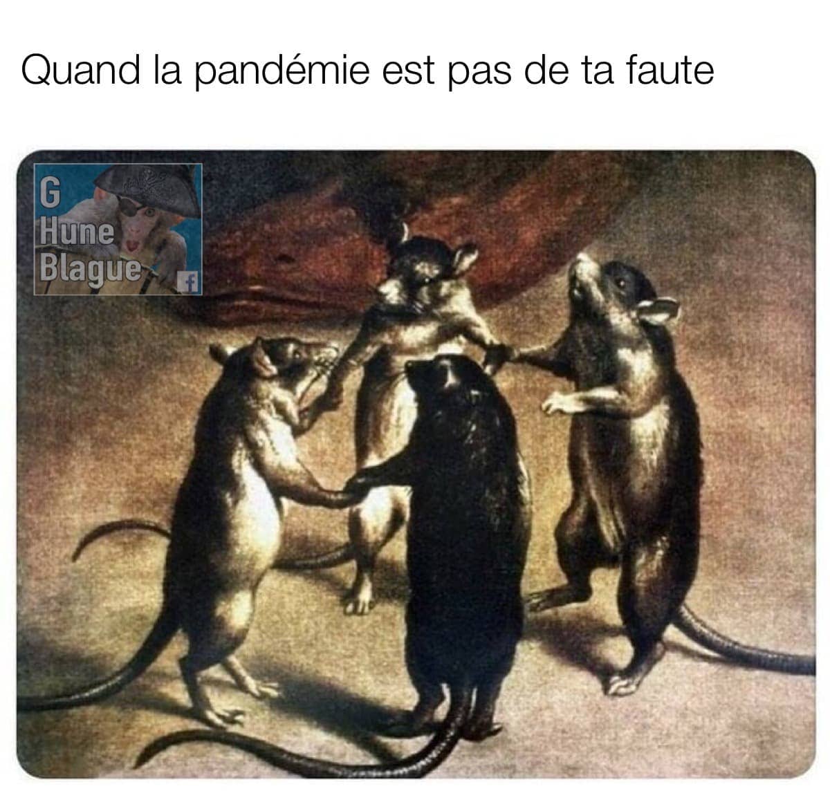 Quand t'es pas responsable de la pandémie, les rats dansent de plaisir