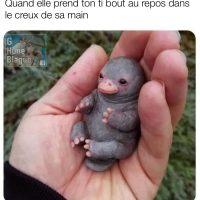 Quand elle prends ton petit bout au repos dans le ceux de sa main