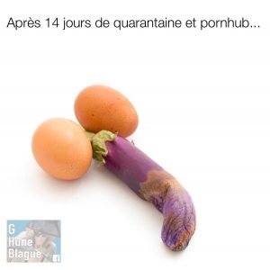 Après 40 jours de quarantaine et de Pornhub...un pénis fabriqué avec des oeufs et une courge