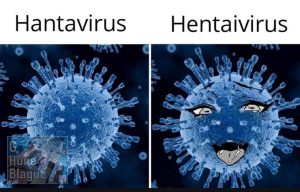 Hantavirus vs Hentaivirus... la règle 34 d'internet toujours en vigueur!