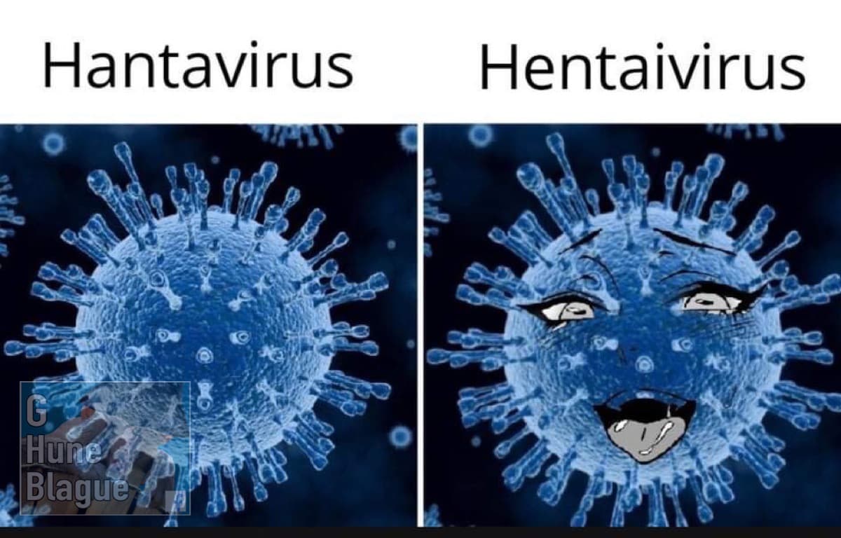 Hantavirus vs Hentaivirus... la règle 34 d'internet toujours en vigueur!