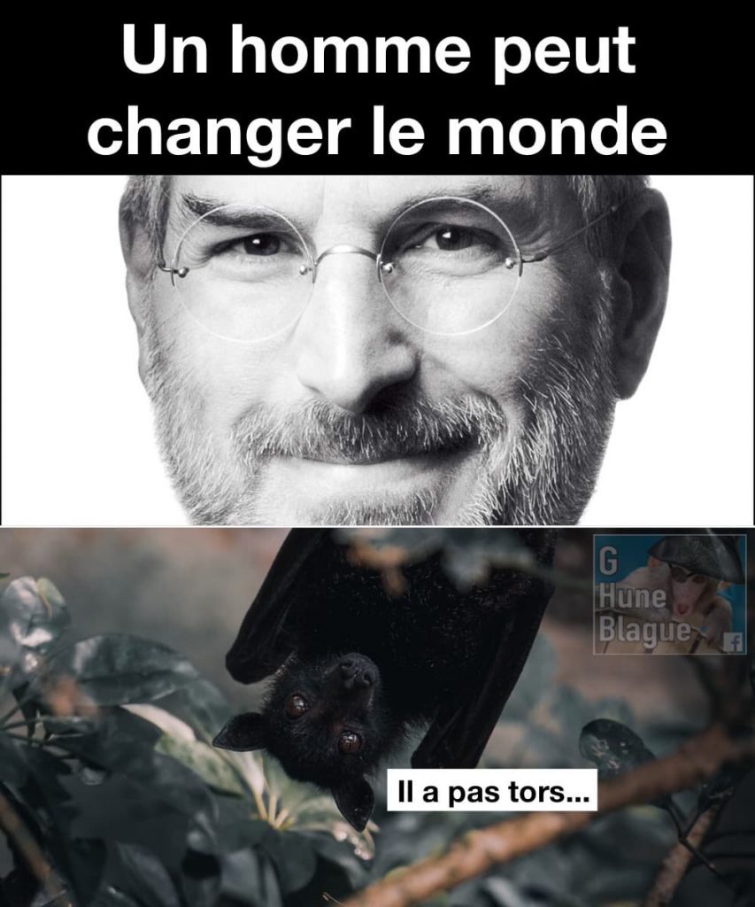La citation de Steve Jobs «Un homme peut changer le monde» prends tout son sens quand on pense à la soupe de chauve-souris