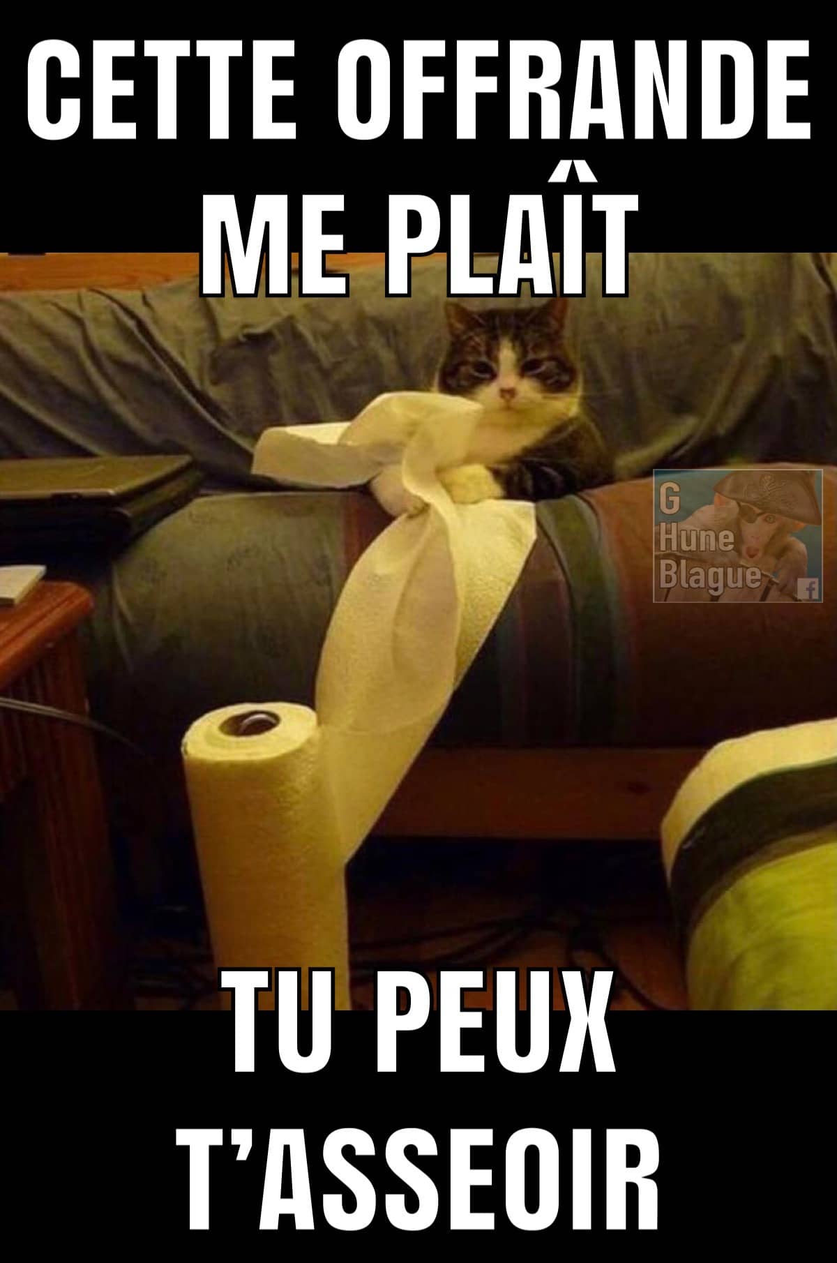 Quand ton chat est satisfait de ton offrande