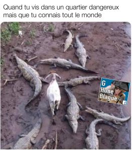 Quand tu vis dans un quartier dangereux mais que tu connais tout le monde. Une chevre marche parmi les crocodiles