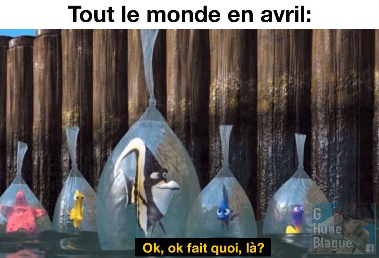 Tout le monde en avril présentement... Nemo et les poissons dans un sac pour se protéger du coronavirus