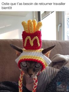 Les chats ont vraiment hâte qu'on retourne au travail. Un petit chapeau tricoté en forme de frites McDonald's