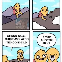 Quand tu vas consulter un sage pour des conseils et qu'il te dit quelque chose que tu devrais déjà savoir: reste chez-toi!