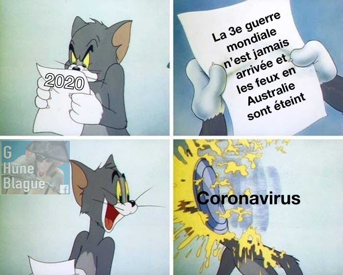 Bilan de début d'année 2020...