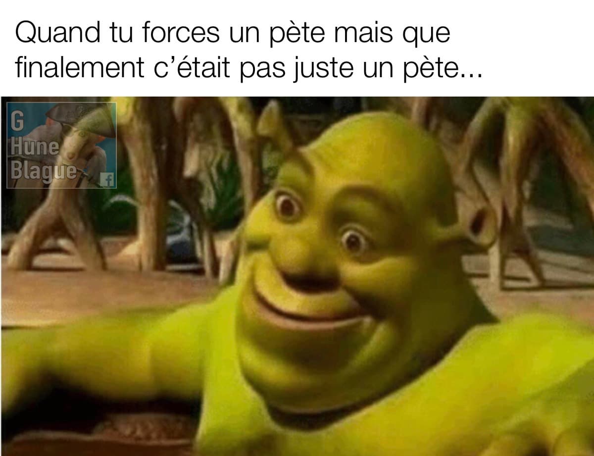 Quand tu forces un pet mais que finalement c'était pas seulement un pet shrek dans le marais