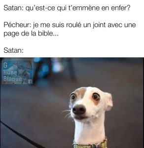 Quand même Satan trouve que tu vas trop loins en te roulant un joint avec une page de la bible. Le chien a vraiment l'air surpris