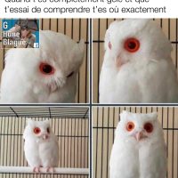 Quand t'as fumé un peu trop et que t'essai de comprendre où tu te trouves