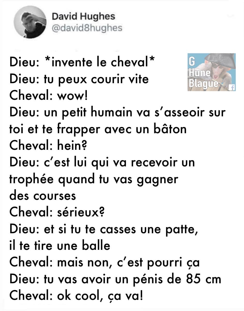 Lorsque Dieu a inventé le cheval... c'est une vie de merde mais avec un si gros pénis, il était partant