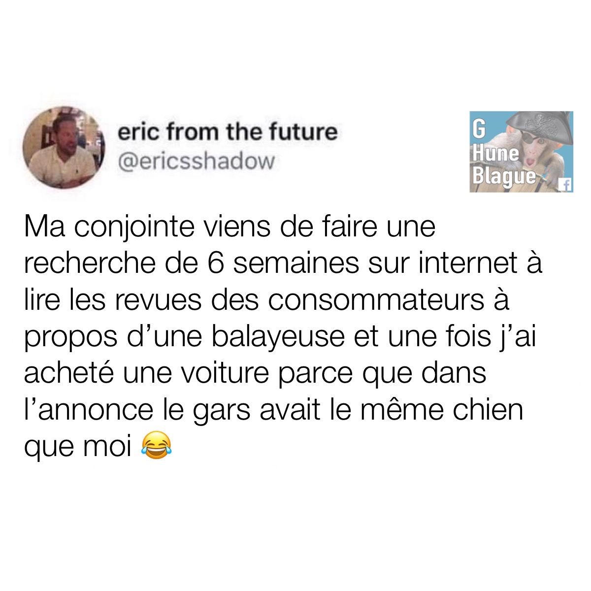 Faire des recherches intensives avant de procéder à un achat - acheter une voiture parce que dans la pub le type a le même chien que moi