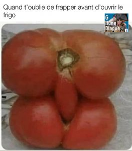 Quand tu oublies de frapper avant d'ouvrir le frigo. Des tomates en pleine relation sexuelle | Humour en français