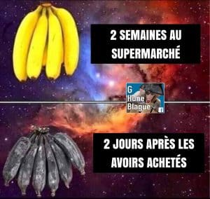 Le grand mystère des bananes | humour et blagues en français