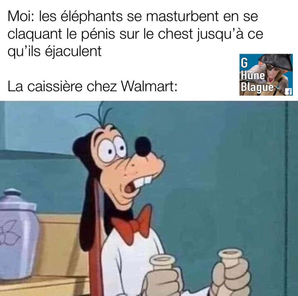 Les éléphants en la masturbation... quand tu lance des faits au hasard à la caissière chez Walmart | Humour en français 