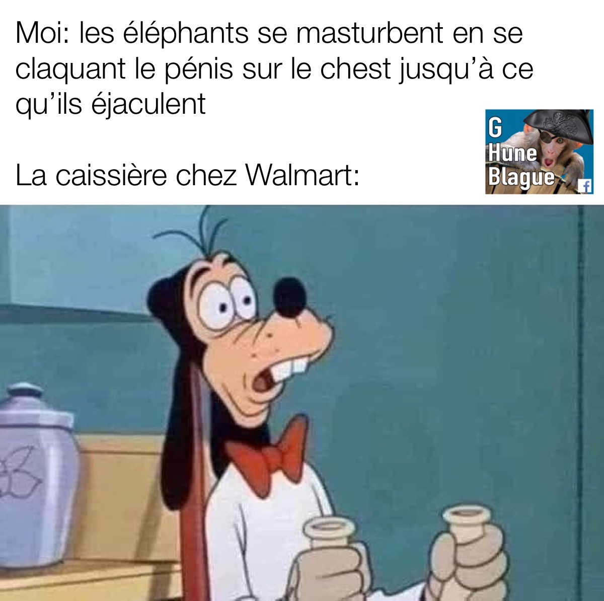 Les éléphants en la masturbation... quand tu lance des faits au hasard à la caissière chez Walmart | Humour en français