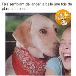 Quand ton chien en a vraiment marre de tes conneries. fait semblant de lancer la balle encore une fois juste pour voir