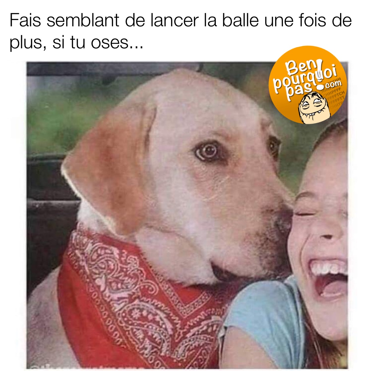 Quand ton chien en a vraiment marre de tes conneries. fait semblant de lancer la balle encore une fois juste pour voir