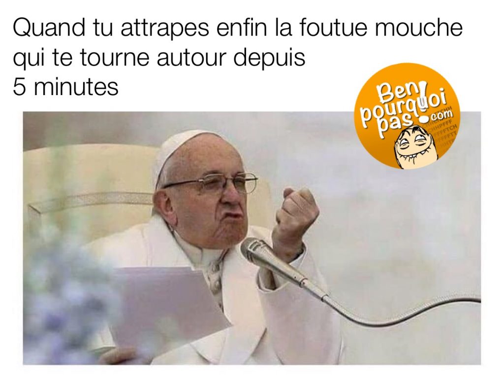 Quand tu attrape cette foutue mouche qui te tournais autour depuis 5 minutes : Le pape françois qui a l'air satisfait