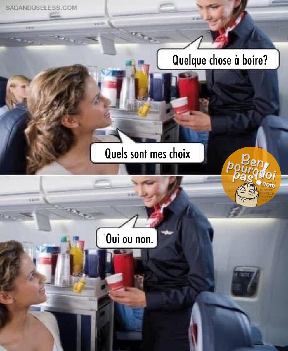Questions stupides posée par les agent de bords dans l'avion