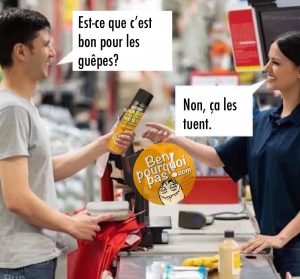 Questions stupide, réponse stupide: est-ce que c'est bon pour les guêpes?