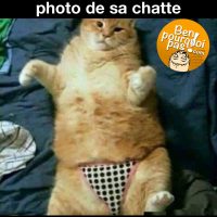 Quand elle t'envoi une photo de sa chatte avec une culottes sexy