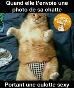 Quand elle t'envoi une photo de sa chatte avec une culottes sexy