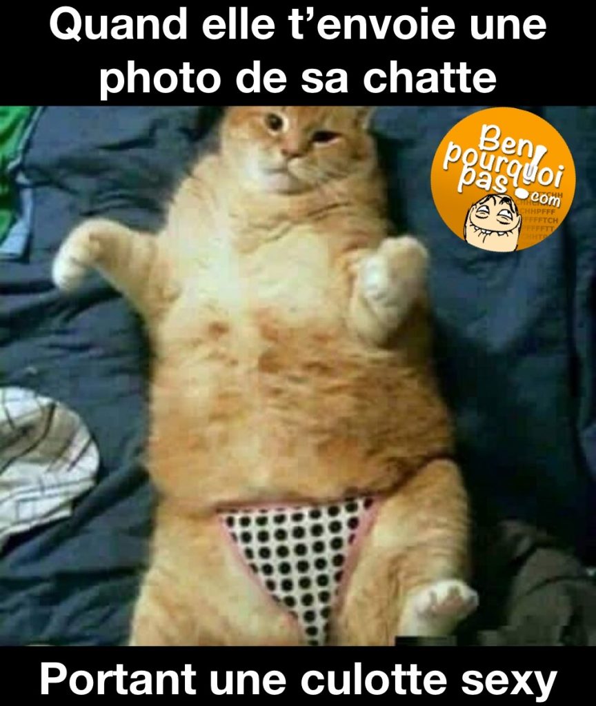 Quand elle t'envoi une photo de sa chatte avec une culottes sexy