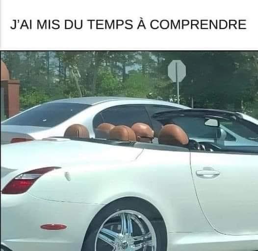 J'ai mis du temps à comprendre... la tête de l'homme se confond avec les appuis tête de la voiture