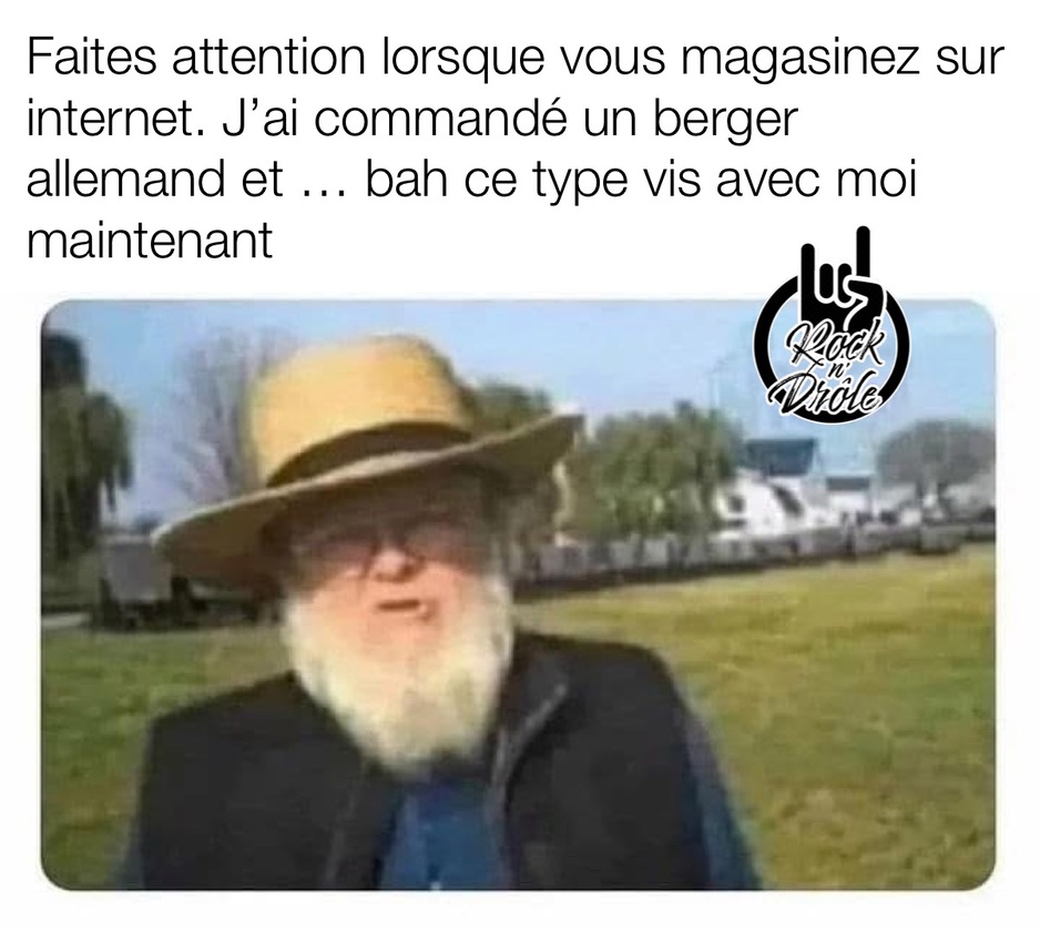 Faites attention lorsque vous magasinez sur internet. J'ai commandé un berger allemand et ... bah ce type vis avec moi maintenant